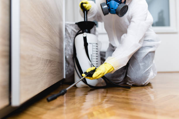Pest Prevention Services in Monroeville, OH