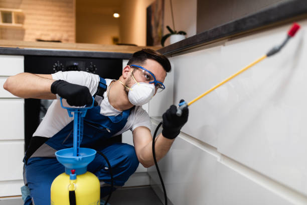 Best Pest Removal Services  in Monroeville, OH