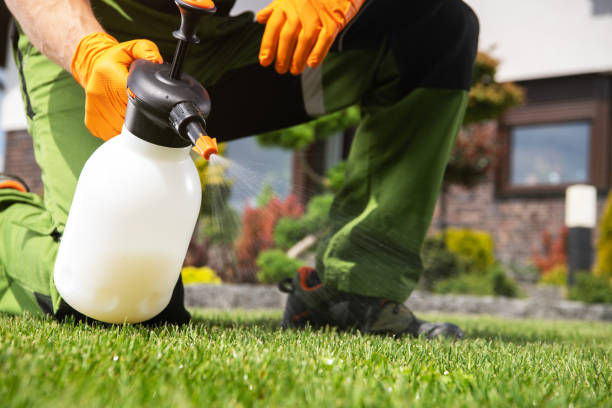 Best Termite Control Services  in Monroeville, OH