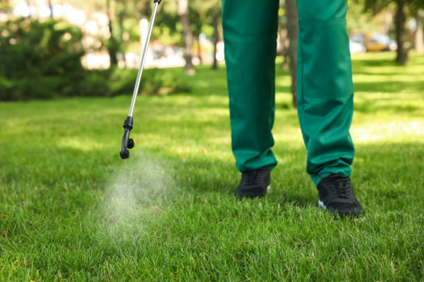 Best Affordable Pest Control Services  in Monroeville, OH