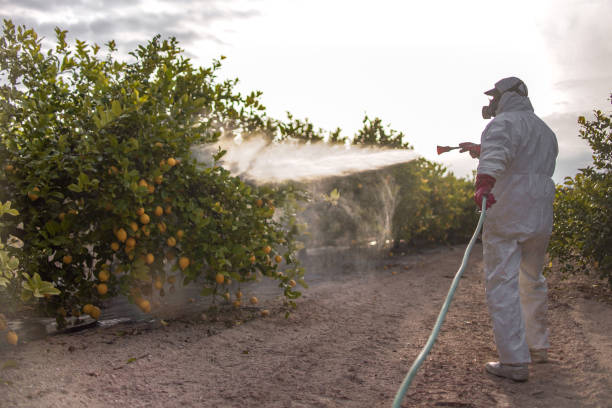 Pest Control Cost in Monroeville, OH