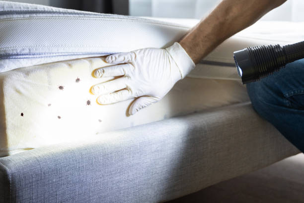 Best Pest Control Treatment  in Monroeville, OH