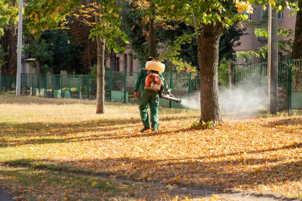Best Mosquito Control Services  in Monroeville, OH