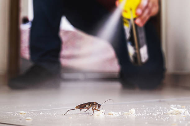 Best Affordable Exterminators  in Monroeville, OH