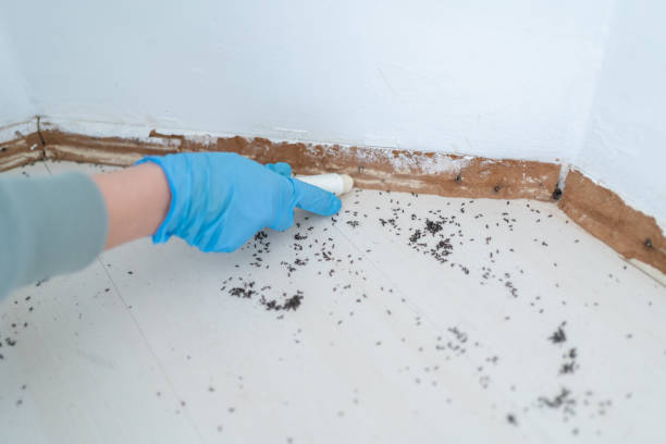 Best Pest Control Near Me in Monroeville, OH