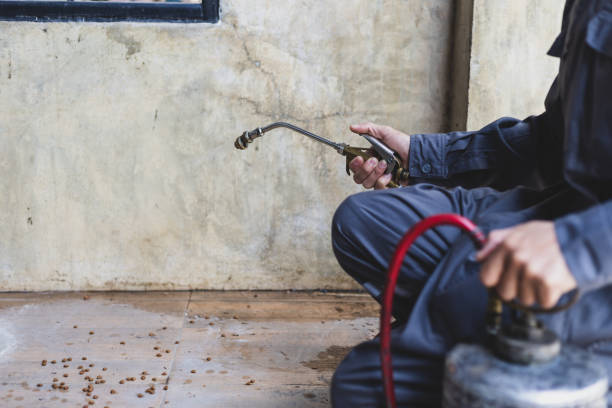 Best Pest Inspection Near Me  in Monroeville, OH