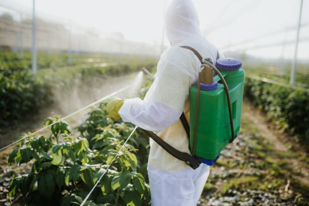 Best Wildlife Control Services  in Monroeville, OH